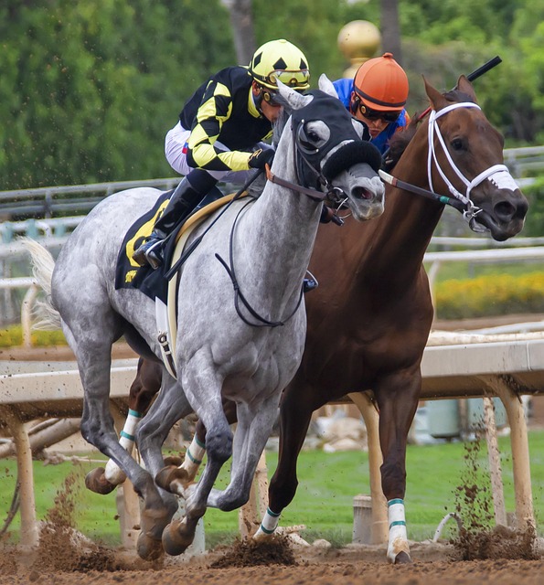 不受年龄限 不受年龄限